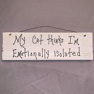 Crazy Cat Lady Sign